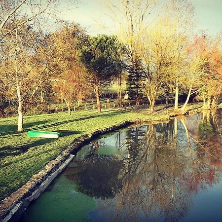 Gite Moulin De Lausseignan Barbaste Екстериор снимка