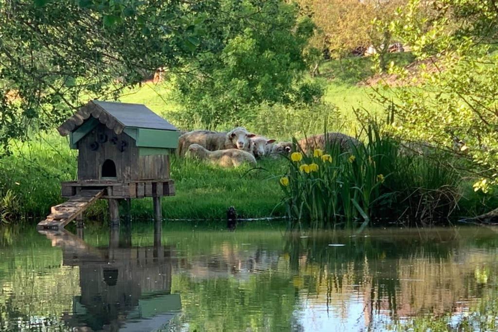 Gite Moulin De Lausseignan Barbaste Екстериор снимка