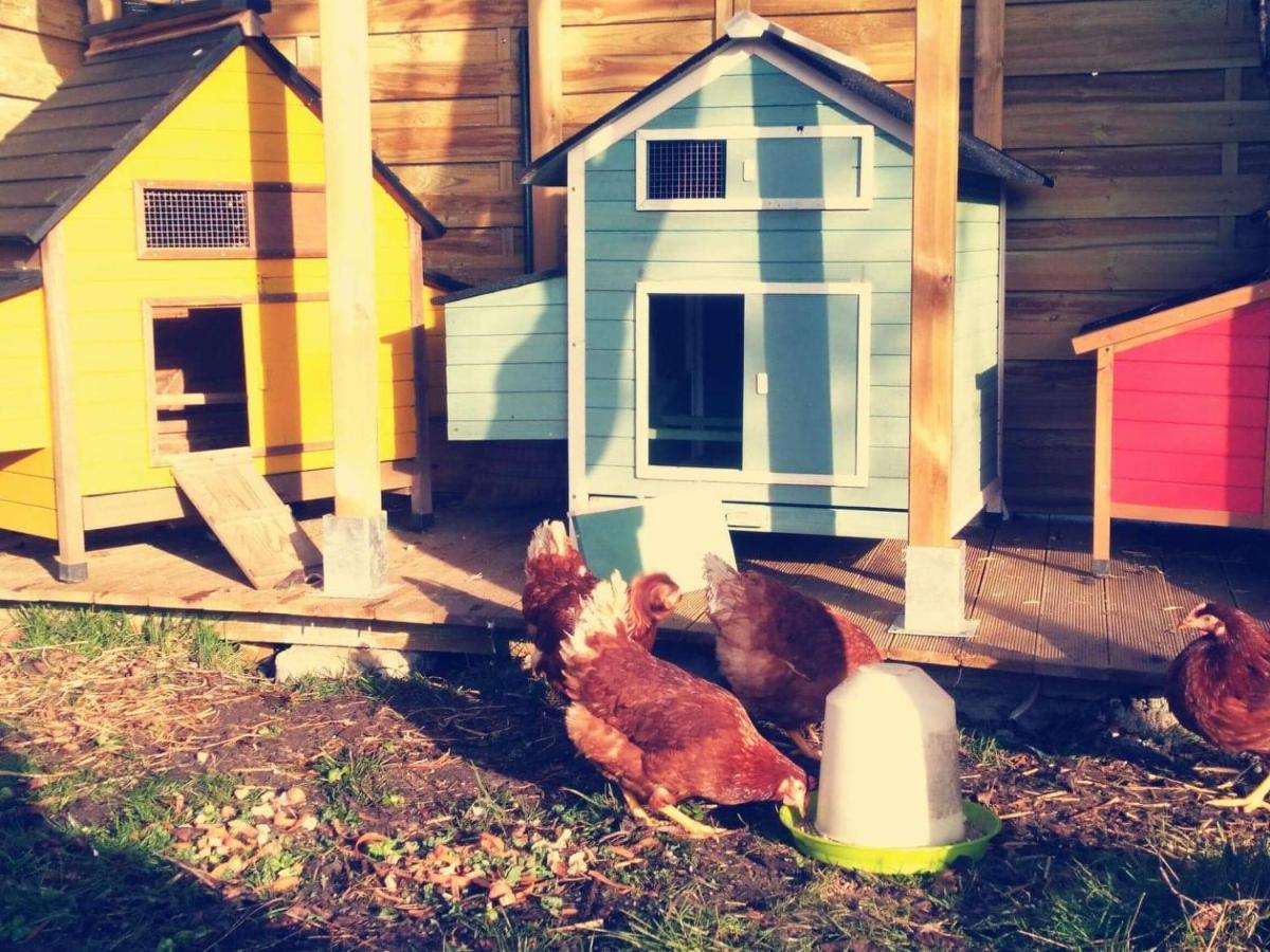 Gite Moulin De Lausseignan Barbaste Екстериор снимка